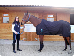 Magnetic Rug Therapy for Horses